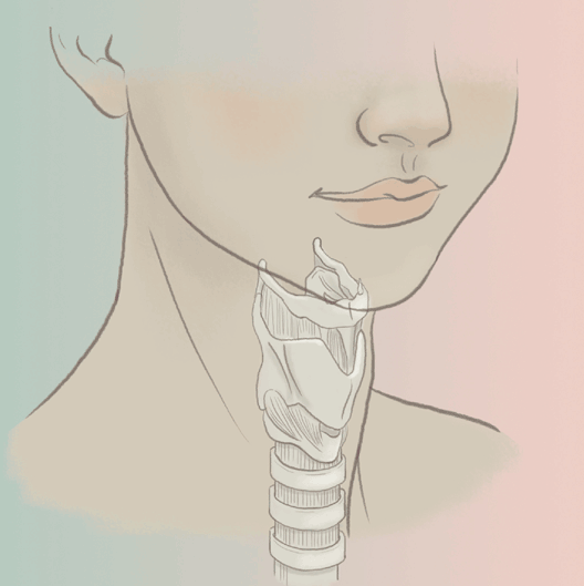 Kraakbeen adams appel