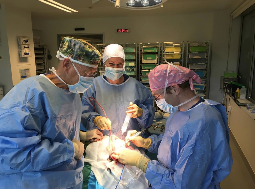 Dr. Bert Oelbrandt 4 Dr. Bert Oelbrandt